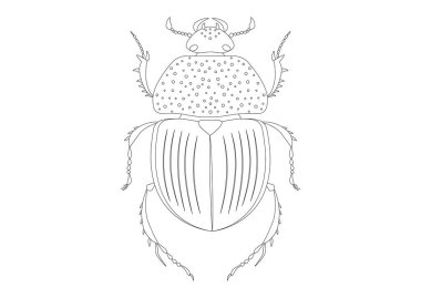 Siyah ve Beyaz Trypocopris Vernalis Yeşil Böcek Clipart. Trypocopris Vernalis Yeşil Böceğinin Renklendirme Sayfası