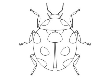 Uğurböceği Karakter Vektörünün Renklendirme Sayfası