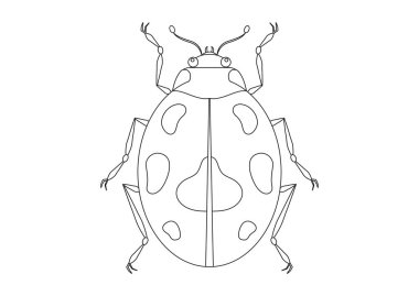 Siyah ve Beyaz Böcek Vektörü Clipart. Bir Böceğin Renk Sayfası