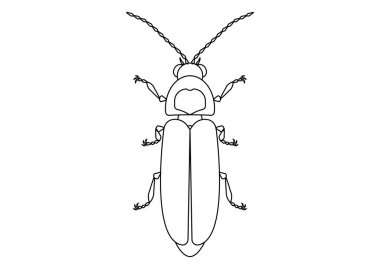 Siyah ve Beyaz Ateşböceği Clipart. Bir Ateşböceğinin Renklendirme Sayfası