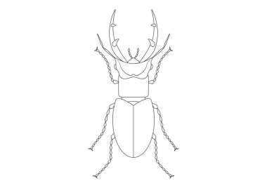 Siyah ve Beyaz Dev Geyik Böceği Clipart. Dev Geyik Böceğinin Renklendirme Sayfası