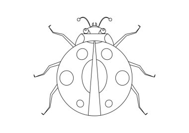 Siyah ve Beyaz Uğurböceği Vektör Clipart. Uğur böceğinin Renklendirme Sayfası