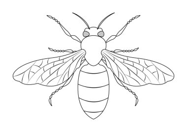 Siyah ve Beyaz Bal Arısı Vektörü Clipart. Bir Balarısının Boyama Sayfası