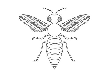 Siyah ve beyaz Hornet Vector Clipart. Bir Eşekarısının Renklendirme Sayfası