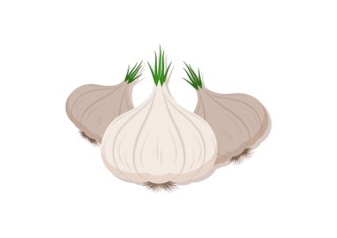 Sarımsaklı taze sebzenin vektör çizimi. Lezzetli sağlıklı yemek.