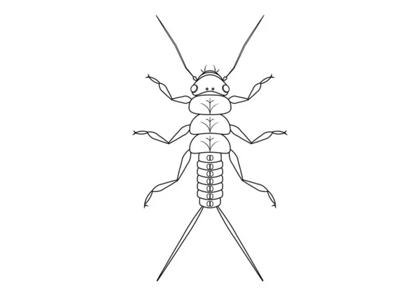 Preto Branco Stonefly Nymph Insect Clipart Vector Isolado Fundo Branco — Vetor de Stock