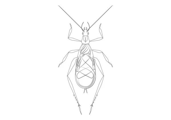 Black White Tree Cricket Clipart Vector Geïsoleerd Witte Achtergrond Kleurplaat — Stockvector