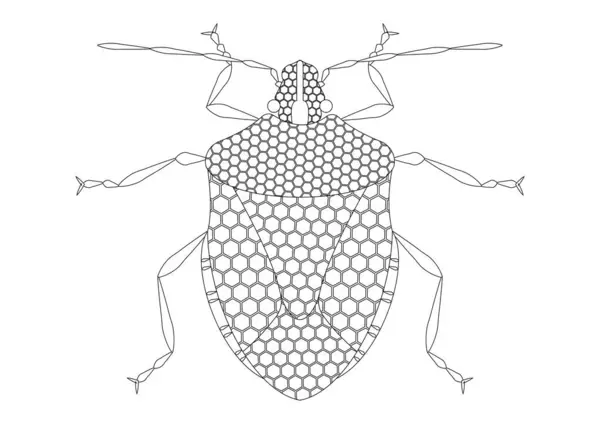 Vettore Bug Puzzolente Bianco Nero Isolato Sfondo Bianco Disegno Colorare — Vettoriale Stock