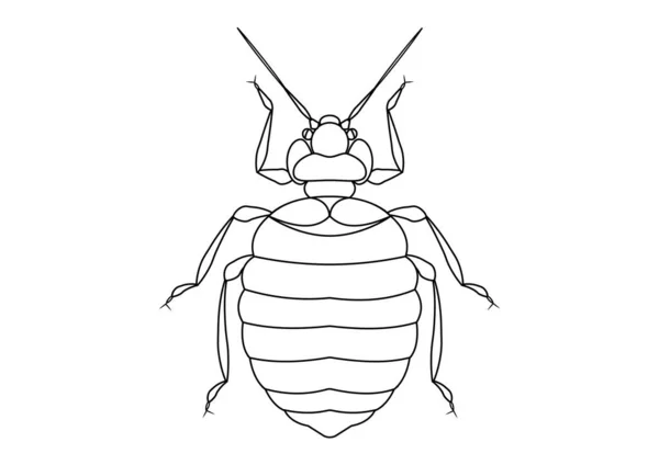 Preto Branco Cama Bug Clipart Página Para Colorir Bug Cama —  Vetores de Stock