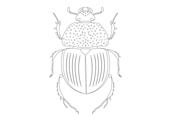 Black White Trypocopris Vernalis Green Beetle Clipart Coloring Page Trypocopris — Stock Vector