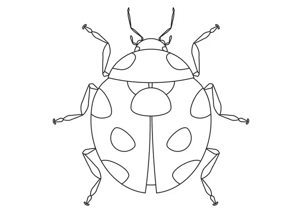 Coloring Page Ladybug Cartoon Character Vector — стоковый вектор