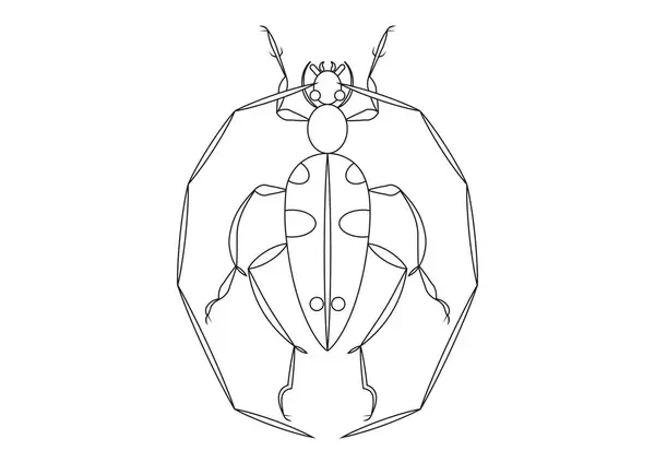 巨大なアンテナが付いている黒く 白いビートル昆虫 巨大なアンテナが付いているビートルの昆虫の色のページ — ストックベクタ