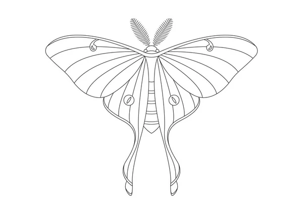 stock vector Black and White Butterfly Luna Moth Clipart Vector isolated on White Background. Coloring Page of a Butterfly Luna Moth