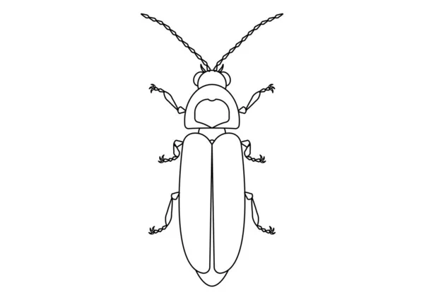 Black White Firefly Clipart Zbarvení Stránky Světlušky — Stockový vektor