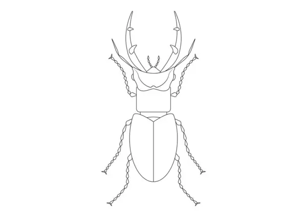Черно Белый Гигантский Stag Beetle Clipart Окрашивающая Страница Гигантского Жучка — стоковый вектор