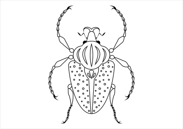 Zwart Wit Goliathus Regius Beetle Clipart Geïsoleerd Witte Achtergrond Kleurplaat — Stockvector
