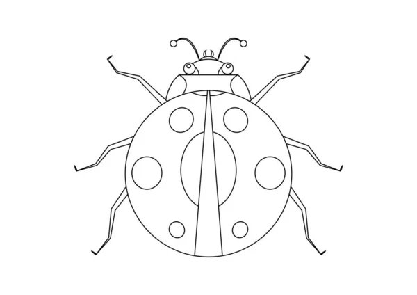 Zwart Met Wit Ladybug Vector Clipart Kleurplaat Van Een Ladybug — Stockvector