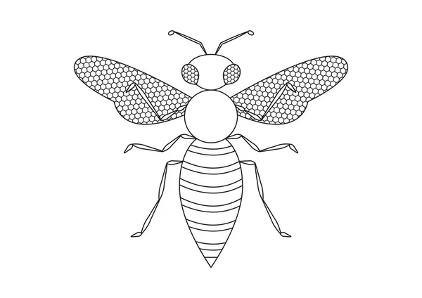 Černobílý Hornet Vector Clipart Zbarvení Stránky Sršně — Stockový vektor