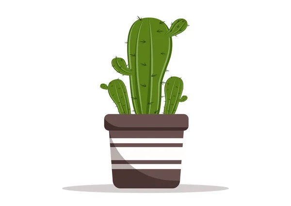 Maison Cactus Dans Pot Fleurs Vecteur Plat Design Cactus Intérieur — Image vectorielle