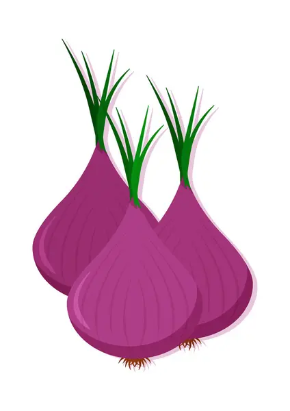 Illustration Vectorielle Légumes Frais Oignon Rouge Délicieux Aliments Sains — Image vectorielle