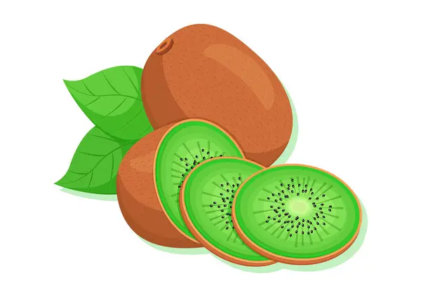 Leckere Kiwi Früchte Scheiben Geschnitten Vektor Illustration Isoliert Auf Weißem — Stockvektor