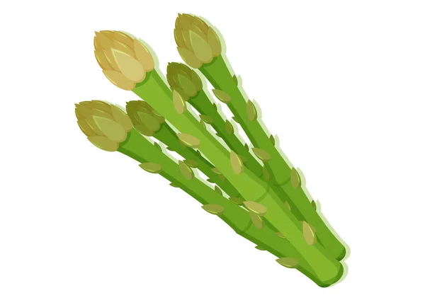 Vector Illustration Asparagus Fresh Vegetable Delicious Healthy Food — Stock Vector