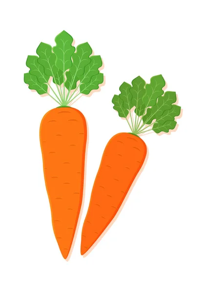 Wektorowa Ilustracja Świeżego Warzywa Marchewkowego Pyszne Zdrowej Żywności — Wektor stockowy