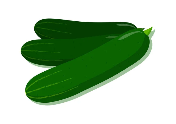 Illustration Vectorielle Concombre Légumes Frais Délicieux Aliments Sains — Image vectorielle
