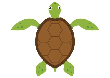 Beyaz Arkaplanda Karikatür Kaplumbağa Vektör Düz Tasarımı İzole Edildi