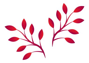 Beyaz zemin üzerinde izole edilmiş, eğimli kırmızı vektör düz dizayn yapraklı iki dal