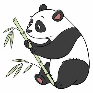 Beyaz Arkaplanda Tatlı Panda Bambu Çubuğu Tutuyor