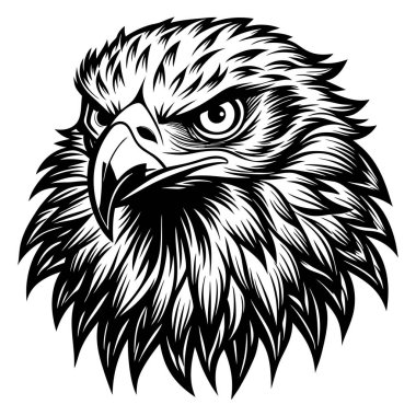 Beyaz arkaplanda bir kartalın siyah ve beyaz vektör çizimi