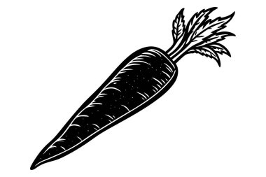 Beyaz arkaplanda elle çizilmiş havuç silueti