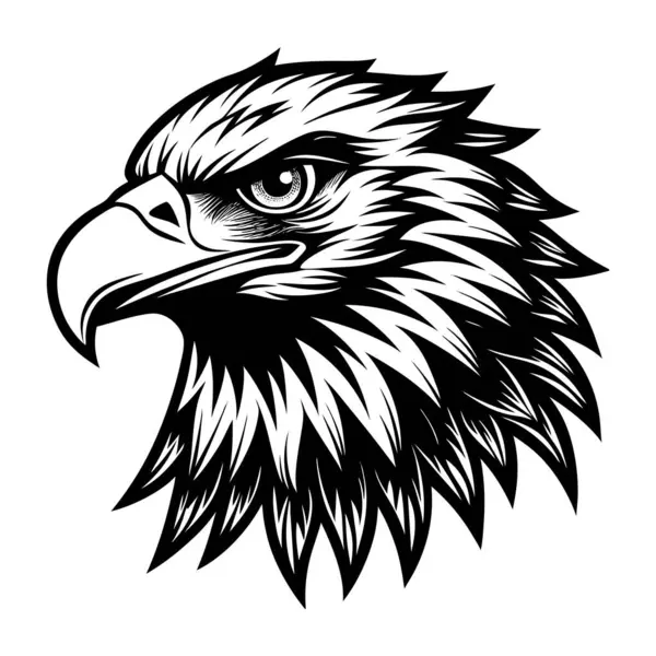 Siyah ve beyaz kartallar beyaz arka planda