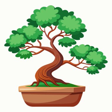 Beyaz arkaplanda Bonsai zirvesi