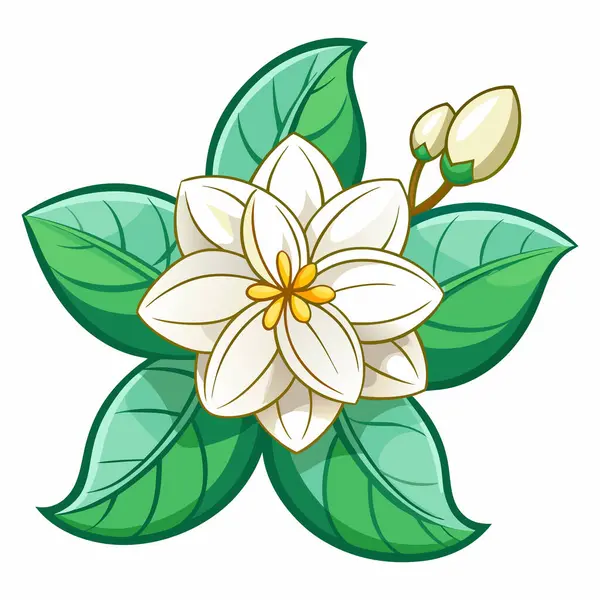 Yasemin Beyaz zemin üzerine tırman