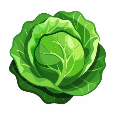 Beyaz arkaplanda lahana tırmığı izole