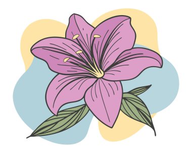 Amaryllis beyaz arkaplanda klipart renk damlaları