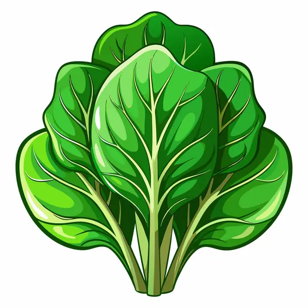 Beyaz arkaplanda ıspanak klipsi