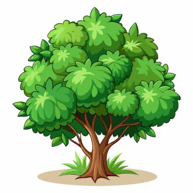 Bush beyaz arka planda tırmanıyor.