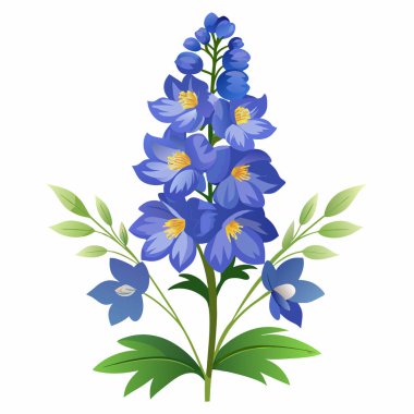 Beyaz arkaplan üzerinde izole edilmiş Delphinium çiçek zirvesi