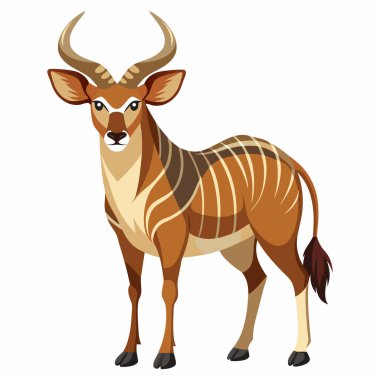 Beyaz arkaplan üzerindeki düz biçimi düzenler