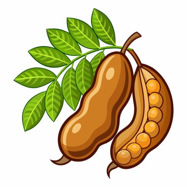 Demirhindi dağılımı beyaz arkaplanda izole edildi