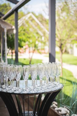 Düğünler için sığ şampanya kadehi.