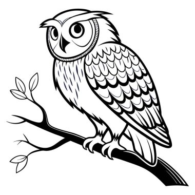 Beyaz arkaplanda bir ağaç dalında oturan siyah ve beyaz baykuş