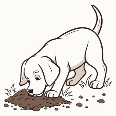 Beyaz Köpek beyaz arka planda kir kazıyor