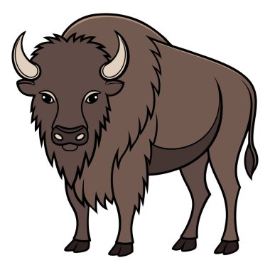 bizon beyaz arka plan üzerinde izole