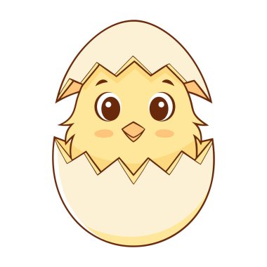 Sevimli çizgi film civcivi beyaz arka planda yumurtadan çıkıyor.