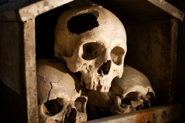 Napoli 'nin Fontanelle antik mezarlığında, antik zamanlardaki su kaynaklarının varlığından esinlenilerek, 1656' da veba salgını ve 1836 'da kolera salgını sırasında ölen yaklaşık 40.000 kişinin mezarlığı yan evindeydi..