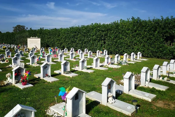 Cmentarz Zwierząt Maddaloni Często Odwiedzany Przez Obywateli Dzień Śmierci Ich — Zdjęcie stockowe